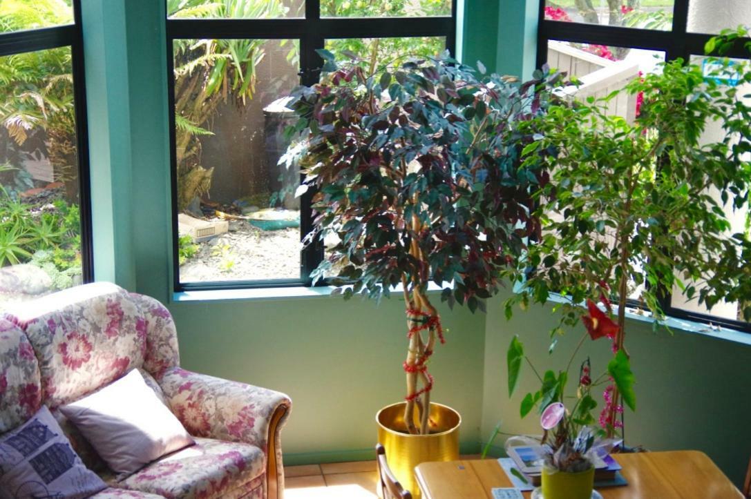Hamilton East Homestay 외부 사진